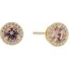 Michael Kors Sterling Silver Pave Halo Stud Earrings